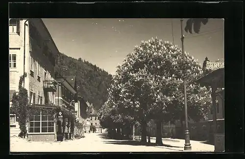 AK Markt Werfen, Blick auf das Hotel Post