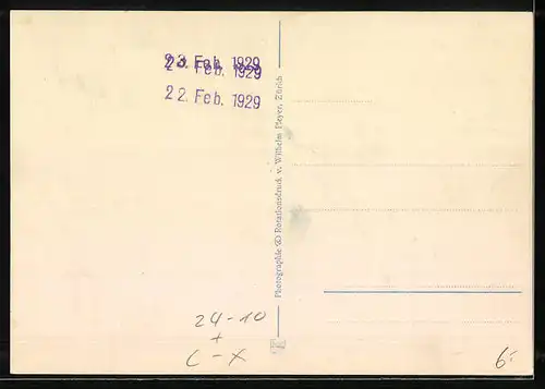 AK Zürich, Zürichseegefrörne im Jahr 1929, Partie mit Löwendenkmal