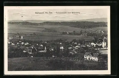AK Gallspach, Totalansicht vom Weinberg