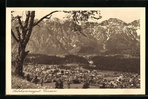 AK Goisen, Totalansicht mit Bergpanorama