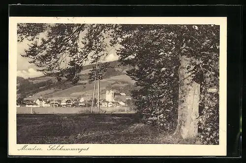 AK Mondsee, Salzkammergut, Teilansicht mit Baum