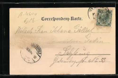 AK Wels, Partie am Stadtplatz