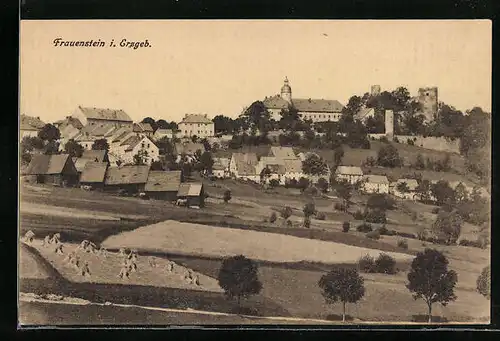 AK Frauenstein i. Erzgeb., Teilansicht