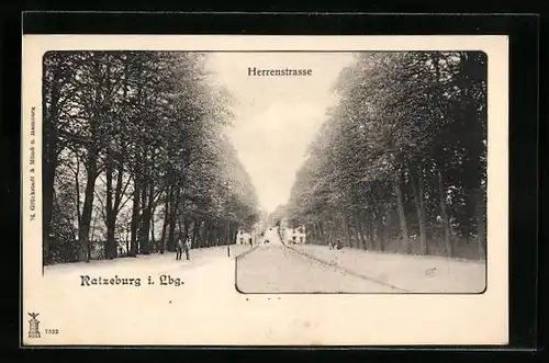 AK Ratzeburg i. Lbg., Herrenstrasse mit Passanten