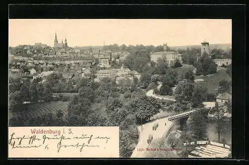 AK Waldenburg /Sachsen, Teilansicht vom Flugzeug aus