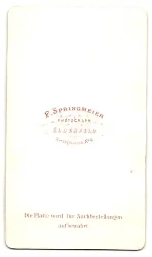 Fotografie F. Springmeier, Elberfeld, Herzogstr. 4, Portrait bildschönes Fräulein mit Dutt