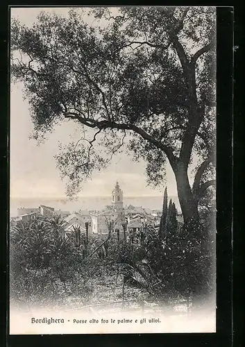 AK Bordighera, Paese alto fra le palme e gli ulivi