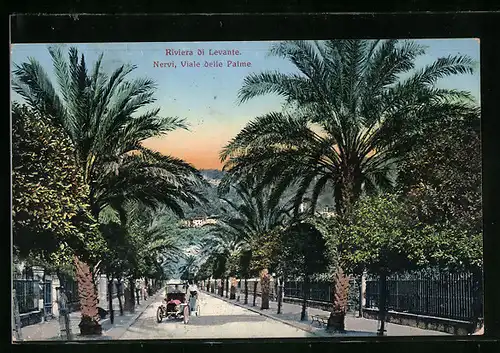 AK Nervi, Viale delle Palme
