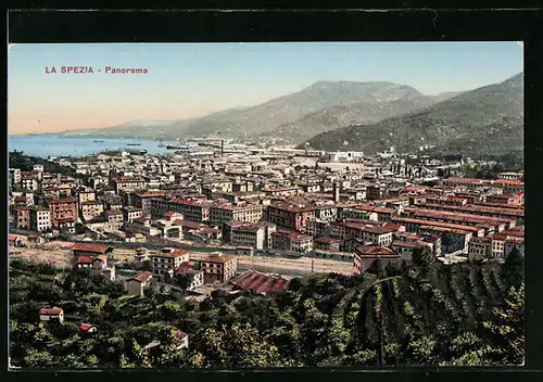 AK La Spezia, Panorama