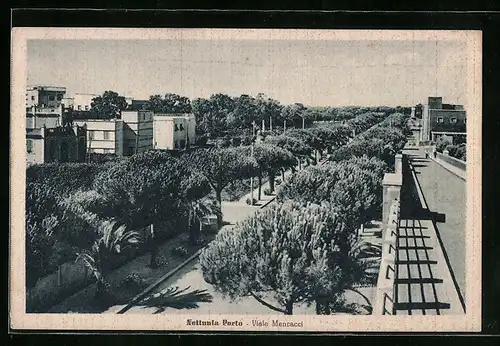 AK Nettunia Porto, Viale Mencacci