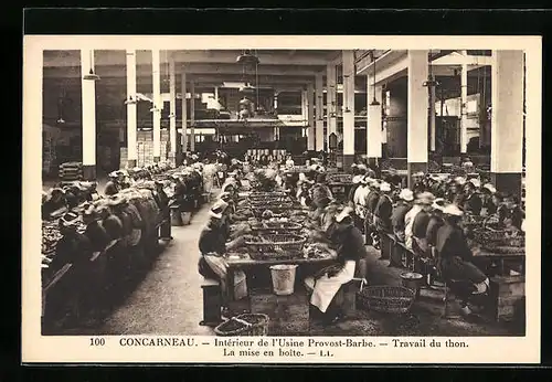 AK Concarneau, Intérieur de l`Usine Provost-Barbe, Travail du thon, La mise en boite, Fischerei
