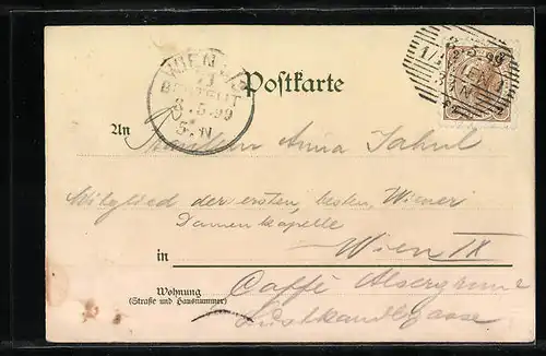 Lithographie Bozen, Ortsansicht aus der Vogelschau