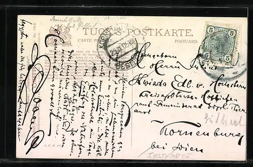 AK Meran, Gesamtansicht gegen Vinschgau