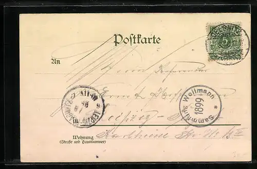 Lithographie Bozen, Ortsansicht aus der Vogelschau