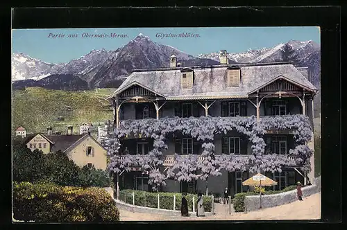 AK Meran-Obermais, Wohnhaus mit prachtvollen Glyzinienblüten