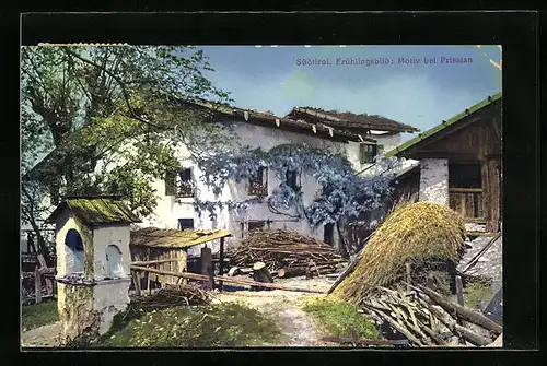 AK Prissian, Dorfpartie im Frühling