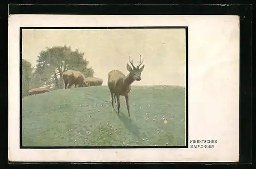 Künstler-AK sign. Fikentscher, Mairmorgen, Rehe auf einer Wiese