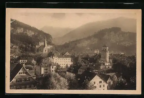 AK Feldkirch, Panorama
