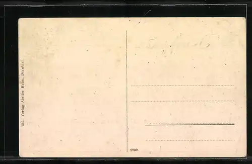 AK Bludenz, Panorama