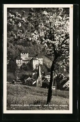 AK Feldkirch, Schloss Schattenburg