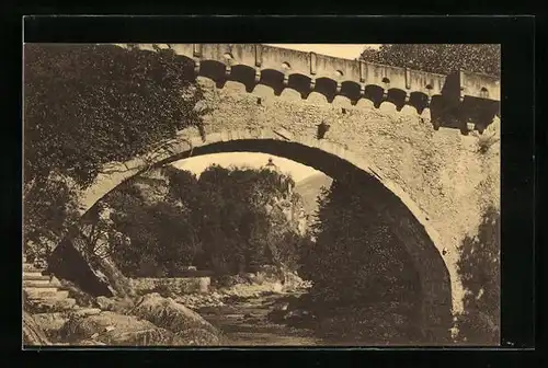 AK Meran, Steinerner Steg mit Zenoburg