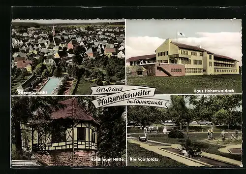 AK Pfalzgrafenweiler / Schwarzwald, Haus Hohenwaldach, Nördlinger Hütte, Kleingolfplatz