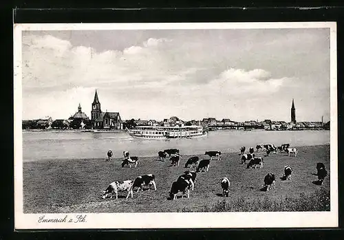 AK Emmerich a. Rh., Gesamtansicht mit Rheindampfer und weidenden Kühen