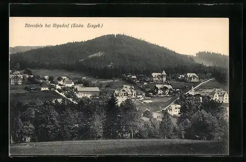 AK Bärenfels bei Kipsdorf, Blick auf die Wohnhäuser im Tal