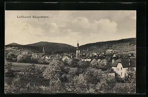 AK Bergzabern, Stadtpanorama