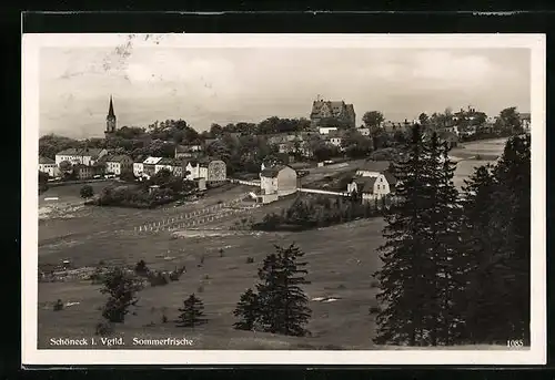 AK Schöneck i. Vgtld., Blick vom Waldrand auf die die kleine Ortschaft und die Kirche