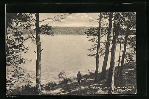 AK Briesen i. Mark, Wanderer mit Hund am Seeufer