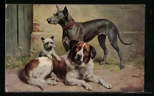 Künstler-AK Carl Reichert: Bernhardiner, Dogge und schottischer Terrier