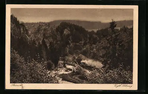 AK Steinicht / Vogtl. Schweiz, Eisenbahnbrücke vom Berg aus gesehen