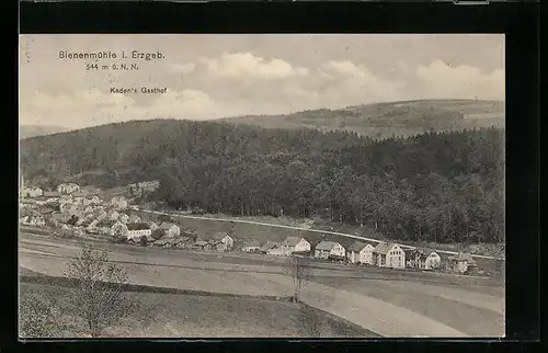 AK Bienenmühle i. Erzgeb., Gesamtansicht mit Kaden's Gasthof