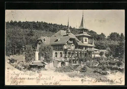 AK Zürich, Waldhaus Dolder