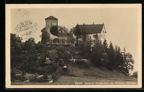 AK Wildegg, Schloss Wildenstein