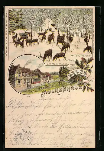 Lithographie Bad Harzburg, Gasthaus Molkenhaus, Wildfütterung im Winter