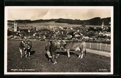 AK Wangen i. Allg. mit Kuhweide