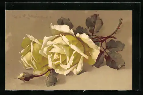 Künstler-AK Catharina Klein: Gelbe Rosen mit Knospen