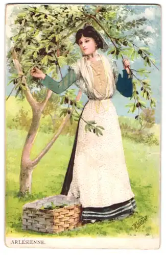 Stoff-Präge-AK Frau bei der Olivenernte, Arles