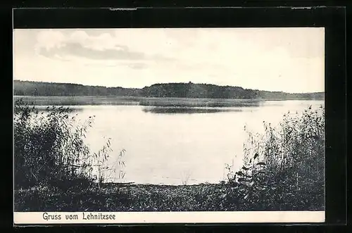 AK Lehnitz, Lehnitzsee, Partie am Seeufer