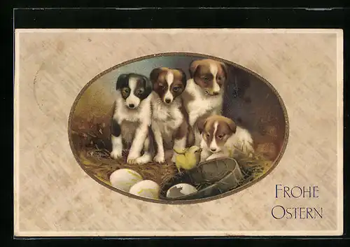 Künstler-AK Hunde mit Osterküken, Frohe Ostern