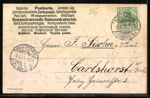 Präge-AK Fröhliche Ostern, Palmkätzchenzweige