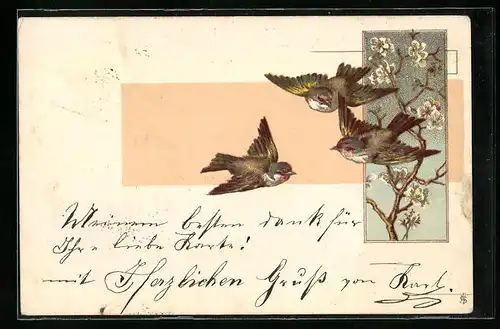 Lithographie Drei Vögel vor blühendem Obstbaum