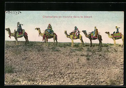 AK Chameliers en marche dans le désert