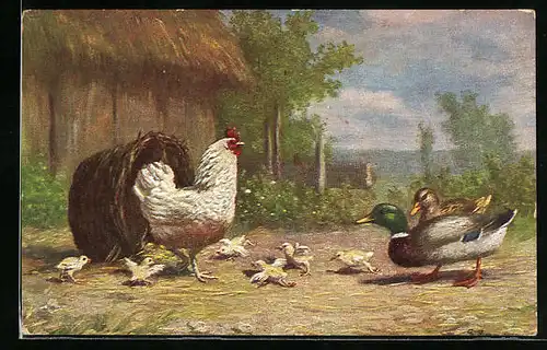 Künstler-AK Huhn mit Küken und ein Entenpaar