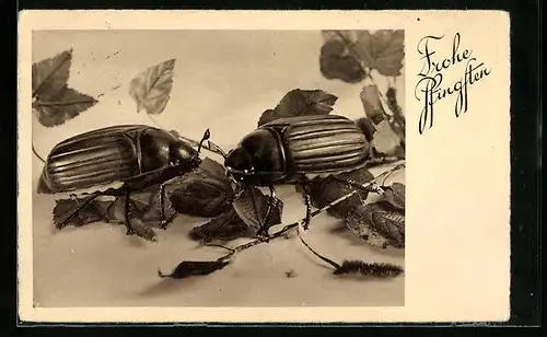 AK Zwei überlebensgrosse Maikäfer mit Blättern, Pfingstgruss