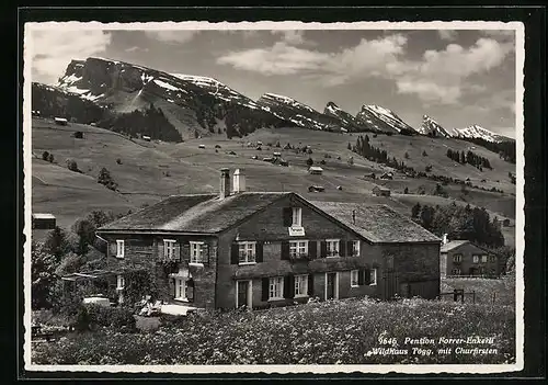 AK Wildhaus, Pension Forrer-Enkerli gegen Churfürsten