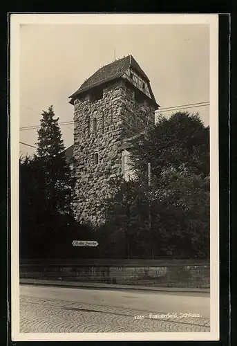 AK Frauenfeld, Schloss mit Ortsschildern