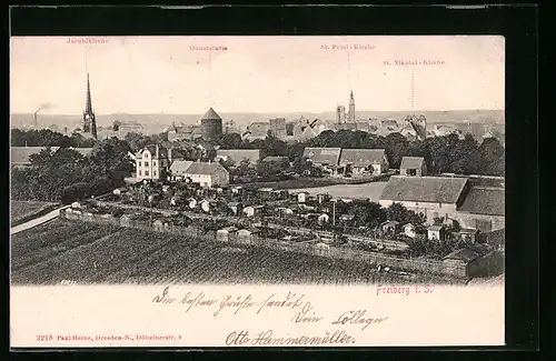 AK Freiberg i. Sa., Ortsansicht mit Kleingartenkolonie und Jacobikirche